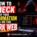How to Check If Your Information Is on the Dark Web